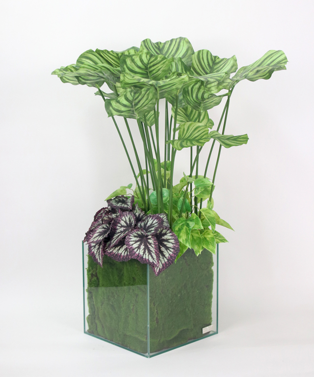 観葉植物 アーティフィシャルグリーン ギャザリング カラテア ギフト