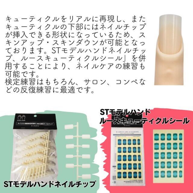 STモデルハンド練習用 スペース モデルフィンガー ネイル検定練習 5本