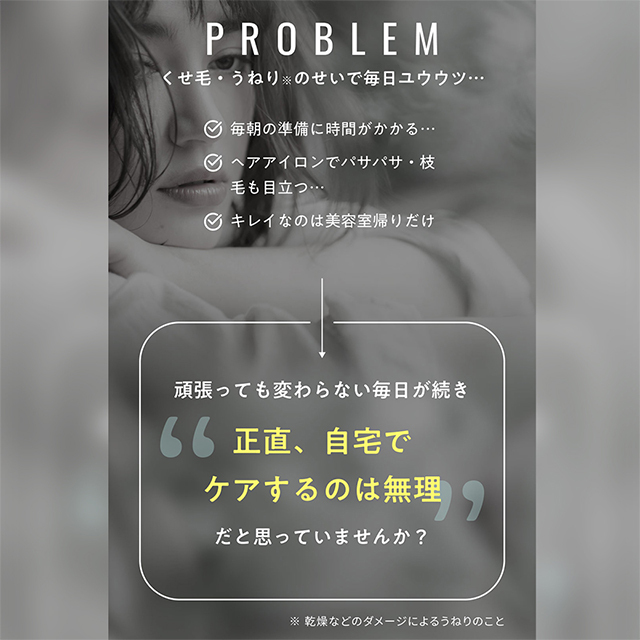 レブリシリーズ3点セット（シャンプー、トリートメント、ヘアー