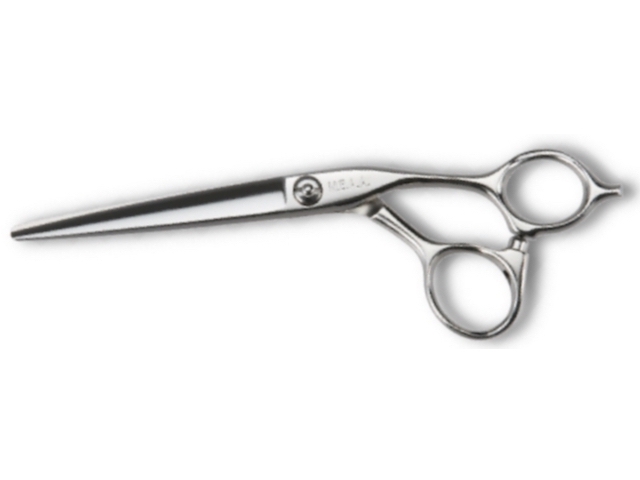 NBAA_CUTTING60-1-1.jpg?t=