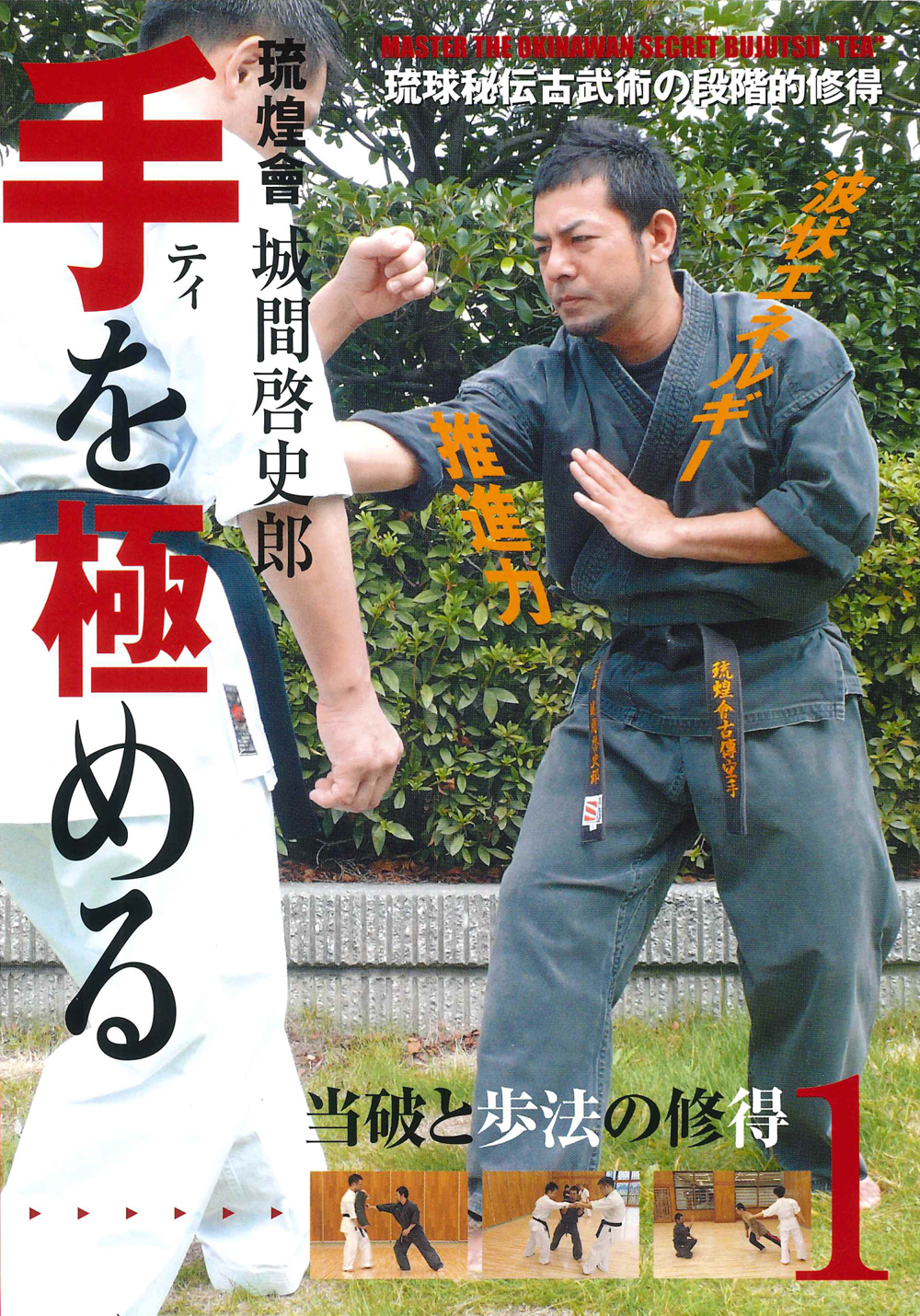 DVD 琉球秘伝古武術 手（ティ）