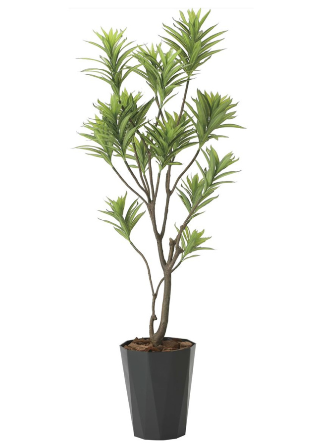 光触媒 人工観葉植物 幸福の木（ドラセナ）【光の楽園】
