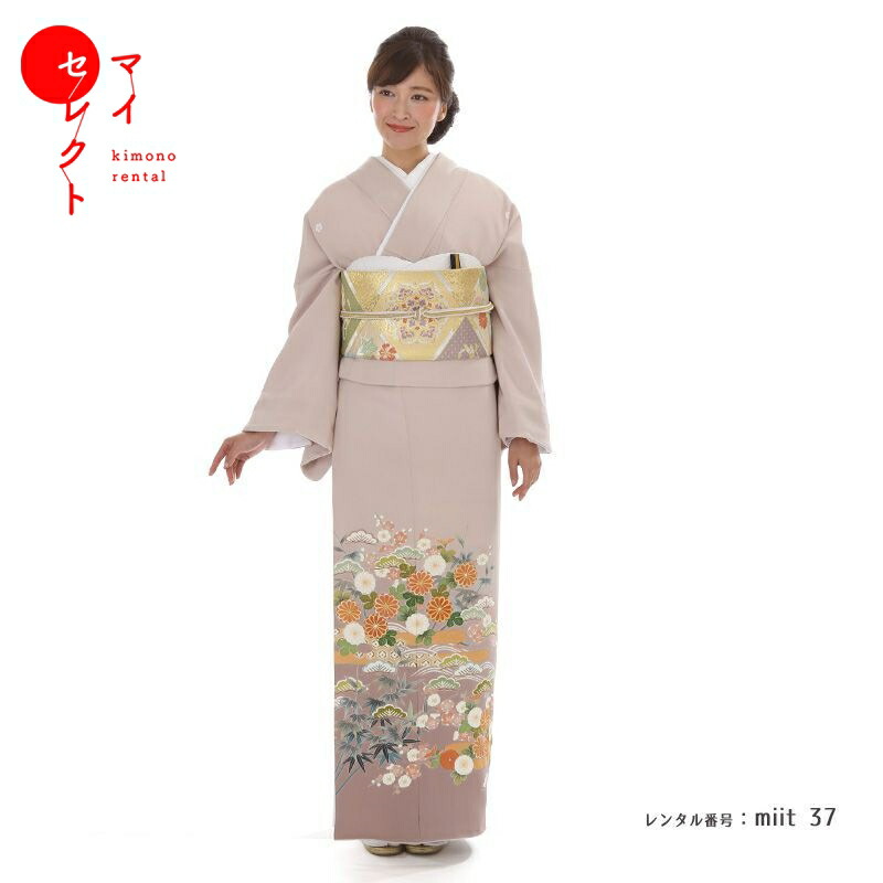 506z11, 503u32〇三松取扱い 花がぁる 色無地振袖 松竹梅〇美品 506z11