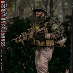 DAM】No.78081 1/6 Operation Red Wings NAVY SEALS SDV TEAM 1 Radio