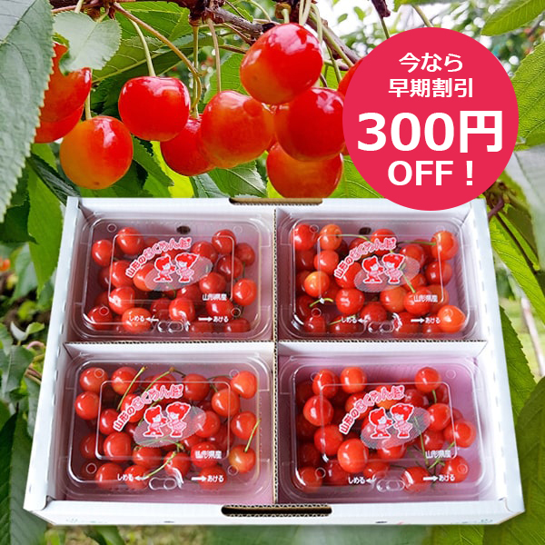 さくらんぼや山形の旬の果物・野菜・特産品の通販【公式】山形うまいず