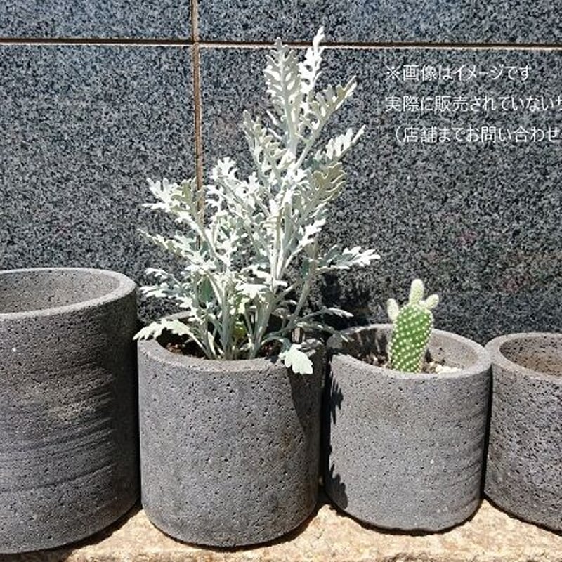 溶岩石フラワーポッット（S）植木鉢 サボテン 鉢 石 おしゃれ 鉢植え