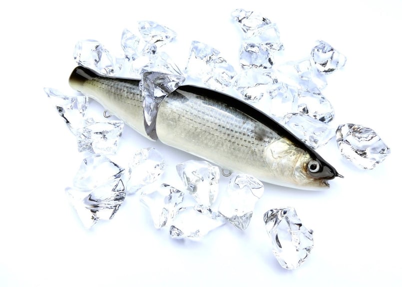 釣日和×FBLコラボモデル】 魚皮ジョインテッドクロー178(コノシロ