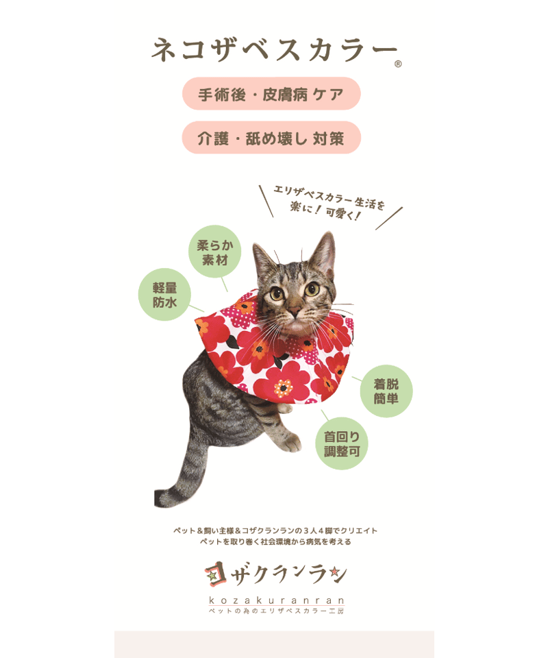 ネコザベスカラー】Lサイズ 標準 | コザクランラン 3/7～8鳥フェス仙台