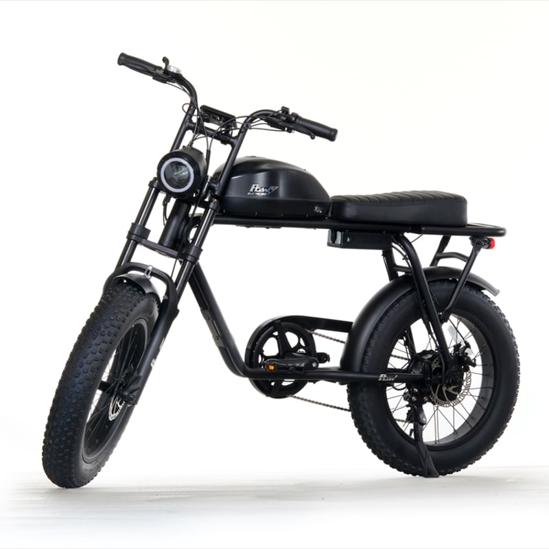 FLOW E-BIKE フロー フロウ 電動アシスト自転車 Flow bike ex'position