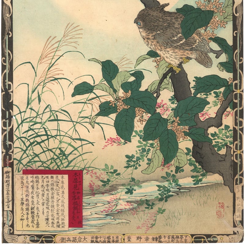 楳嶺 「楳嶺花鳥画譜 木犀花 鴟鵂(ミミズク)」 | 古美術もりみや