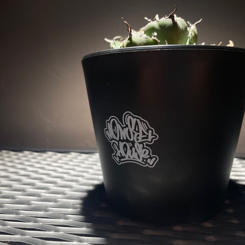 再販】モンスターボウル（プラ鉢3個）ブラック | アガベ専門店