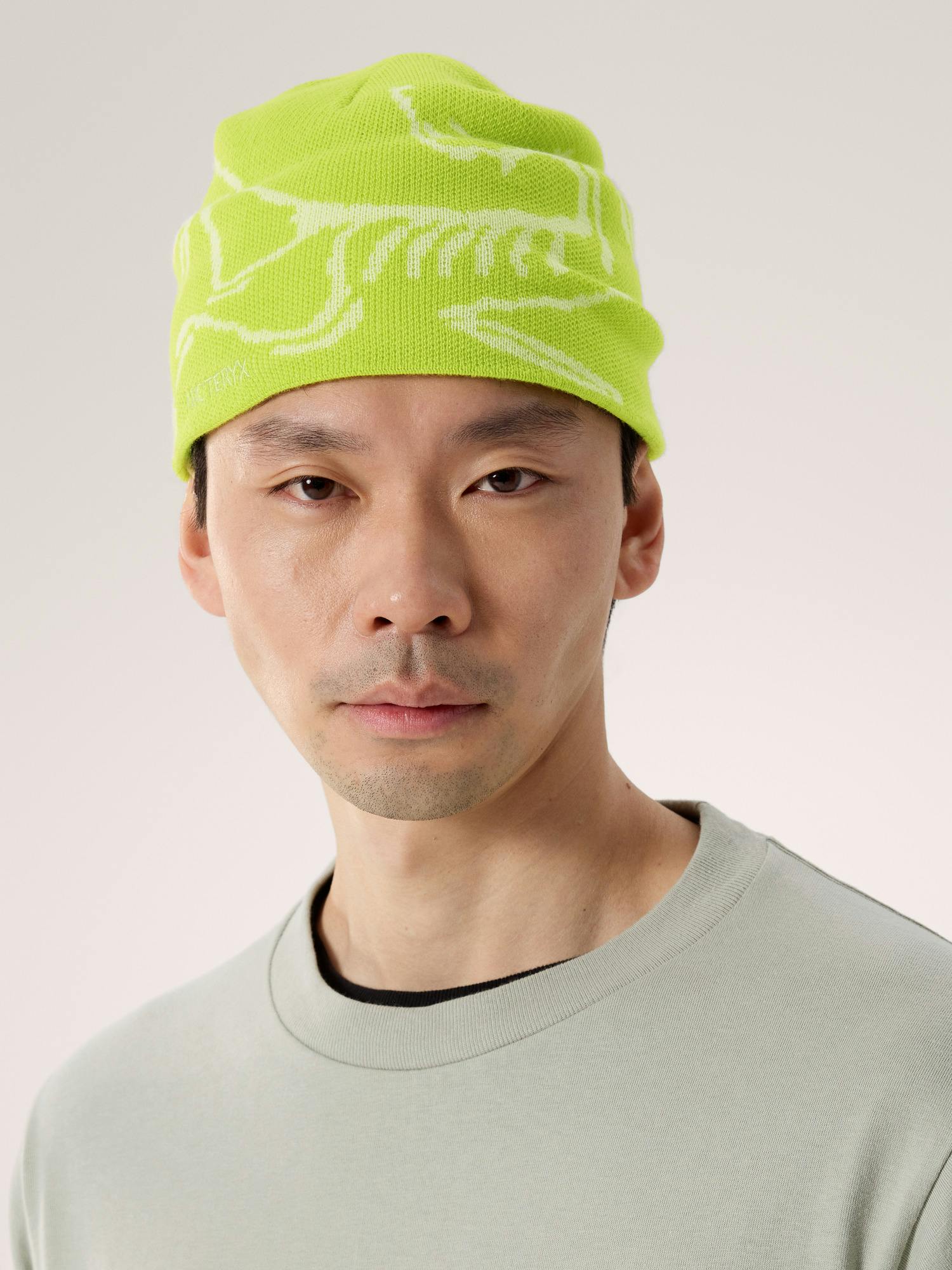 Bird Head Toque | Arc'teryx United States