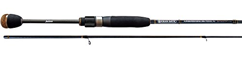 Jacksonの低価格、高品質ロッド『オーシャンゲート』でソルトルアーを