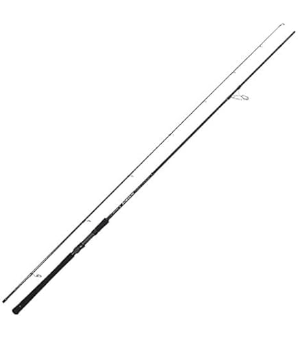 Amazon.co.jp: Yamaga Blanks 22 Early Four Surf 109MMH : Sports
