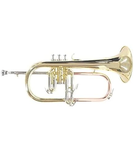 Amazon | Brasspire unicorn BPFG-850SS フリューゲルホルン シルバー