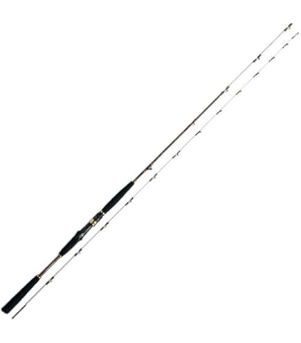 Amazon | ダイワ(DAIWA) 船竿 リーオマスター真鯛AIR MH-270AGS 釣り竿