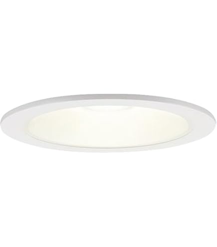 Amazon.co.jp: パナソニック(Panasonic) 天井埋込型 LED(電球色
