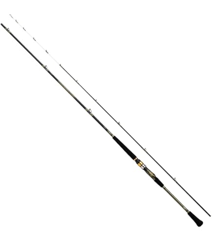 Amazon | ダイワ(DAIWA) 船竿 アナリスター73 30-265 釣り竿 | ダイワ