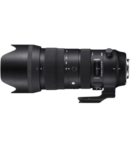Amazon.co.jp: Canon ZOOM LENS EF 80-200mm F2.8 F/2.8 L : 家電＆カメラ