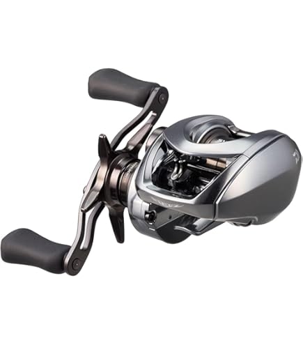 Amazon | ダイワ ベイトリール スティーズ SV TW 100XHL 左ハンドル