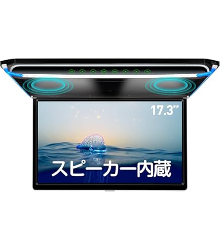 Amazon | ホンダ オデッセイ RB1/RB2 モニターユニット TVM-6037ZH