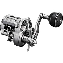 Amazon.co.jp: ダイワ(DAIWA) PEライン UVFソルティガSJデュラセンサー