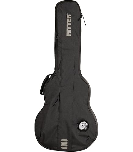 Amazon.co.jp: FERNANDES ZO-3用ソフトケース : 楽器・音響機器