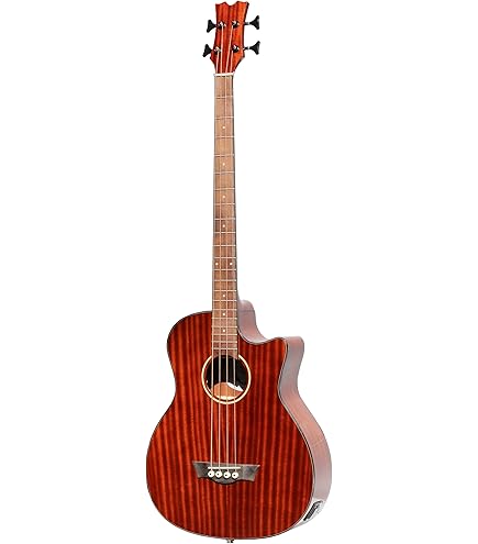 Amazon | Aria Pro II FEB-F2/FL STBK | アコースティック・エレアコ
