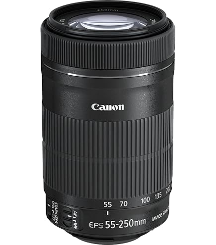 Amazon.co.jp: EF-S55-250mm F4-5.6 IS II 望遠ズームレンズ : 家電