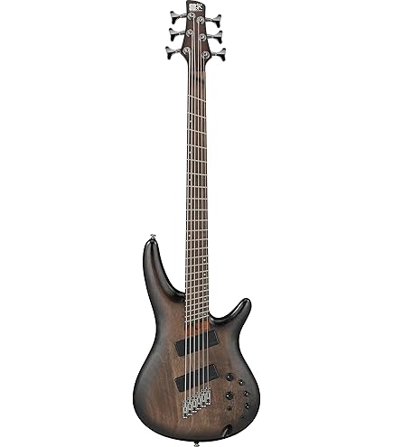 Amazon | Ibanez SRMS806/Deep Twilight 6弦エレキベース/マルチ