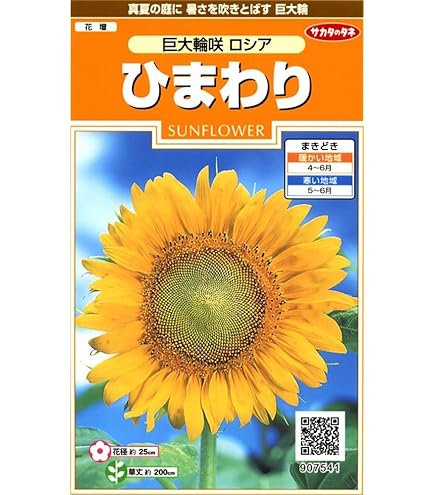 Amazon | サカタのタネ 実咲花5630 ミニひまわり 小夏 00905630 | 種・苗
