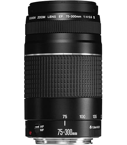 Amazon.co.jp: EF-S55-250mm F4-5.6 IS II 望遠ズームレンズ : 家電