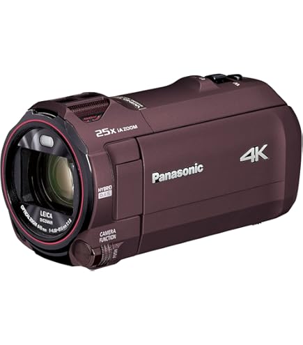 Amazon.co.jp: パナソニック 4K ビデオカメラ VX1M 64GB あとから補正