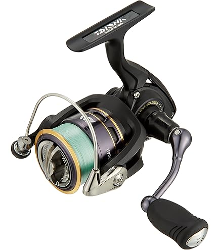 Amazon | ダイワ(Daiwa) スピニングリール 14 イグニス タイプR 2505