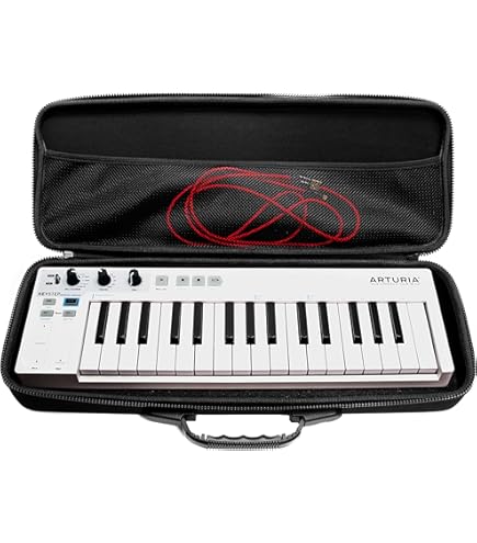 Amazon.co.jp: NATIVE INSTRUMENTS ネイティブインストゥルメンツ/M