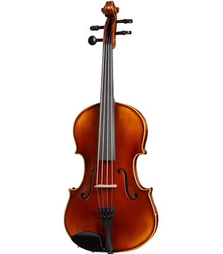 La fiamma violin 4/4 フィアンマ バイオリン