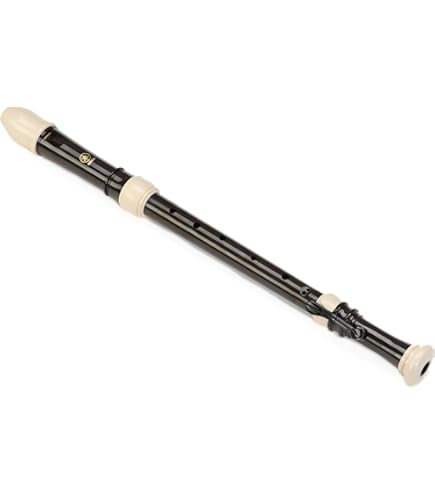 Amazon.com: Toyama Musical Instrument AULOS Symphony Bass Recorder