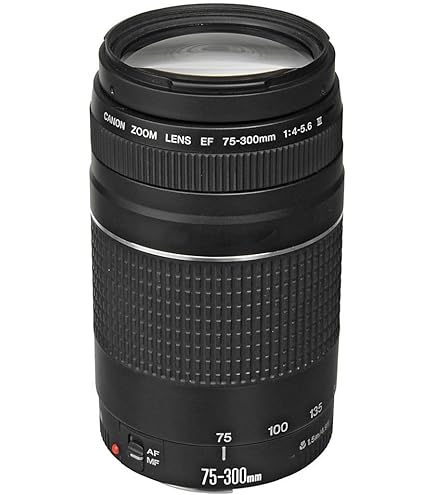 Amazon.com : Canon EF 75-300mm f/4-5.6 III Telephoto Zoom Lens
