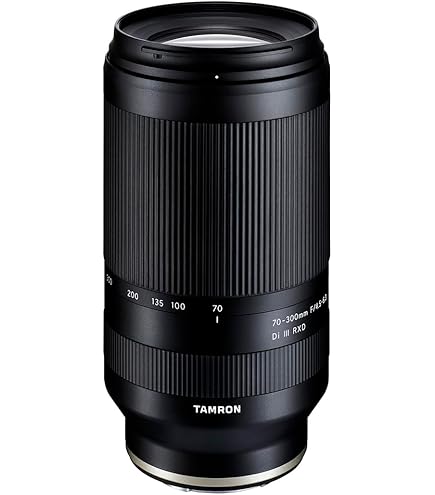 Amazon.com : Sony 75-300mm f/4.5-5.6 Compact Super Telephoto Zoom