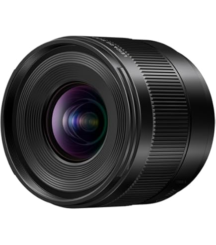Amazon.com : Panasonic LUMIX G II Lens, 20MM, F1.7 ASPH