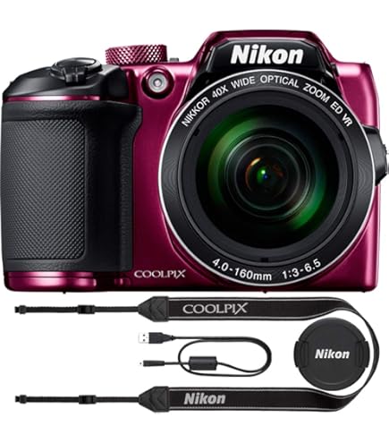 Amazon.com : Nikon Coolpix B500 Digital Camera (Black) : Electronics