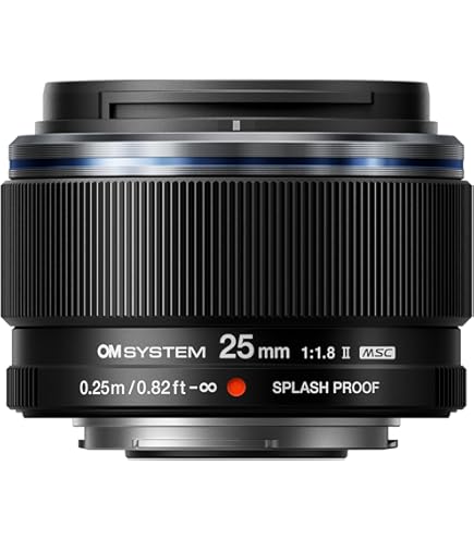 Amazon.com : Panasonic LEICA D SUMMILUX 25mm/F1.4 ASPH L-X025