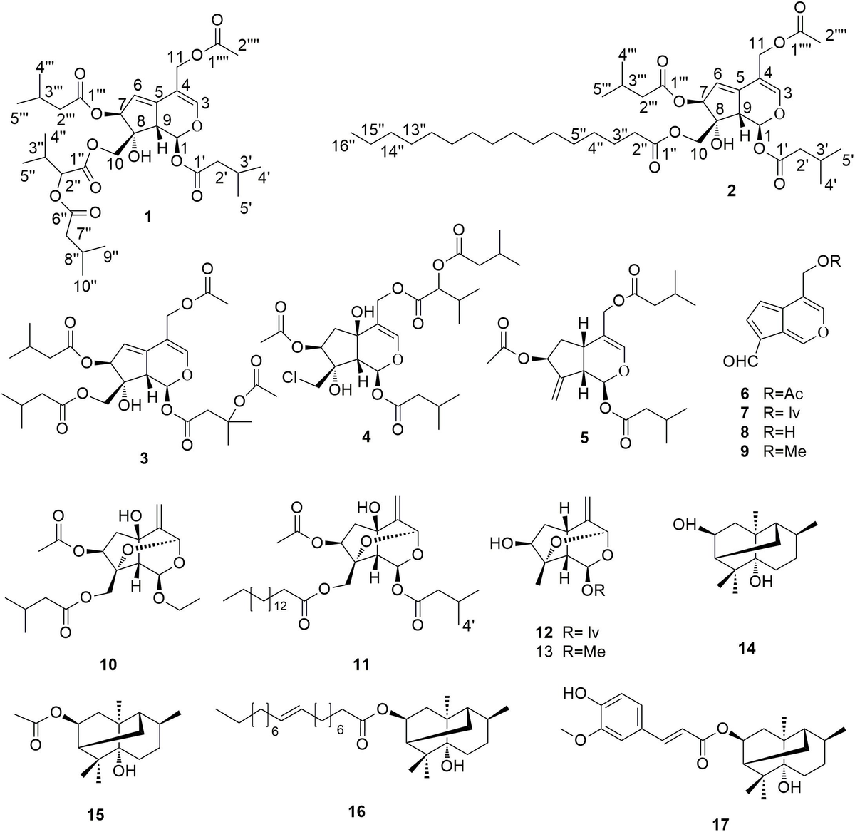 Frontiers | Valepotriates From the Roots and Rhizomes of Valeriana