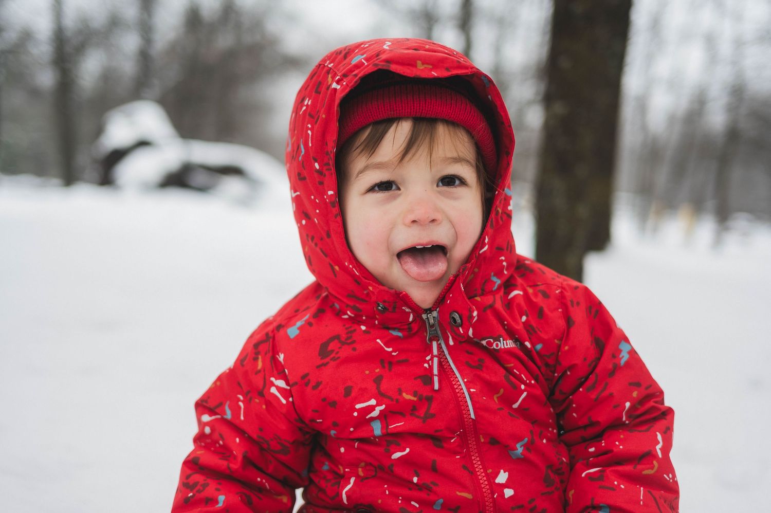 Review of the 40mm f2 Nikon Z - Nico Shirey Photography