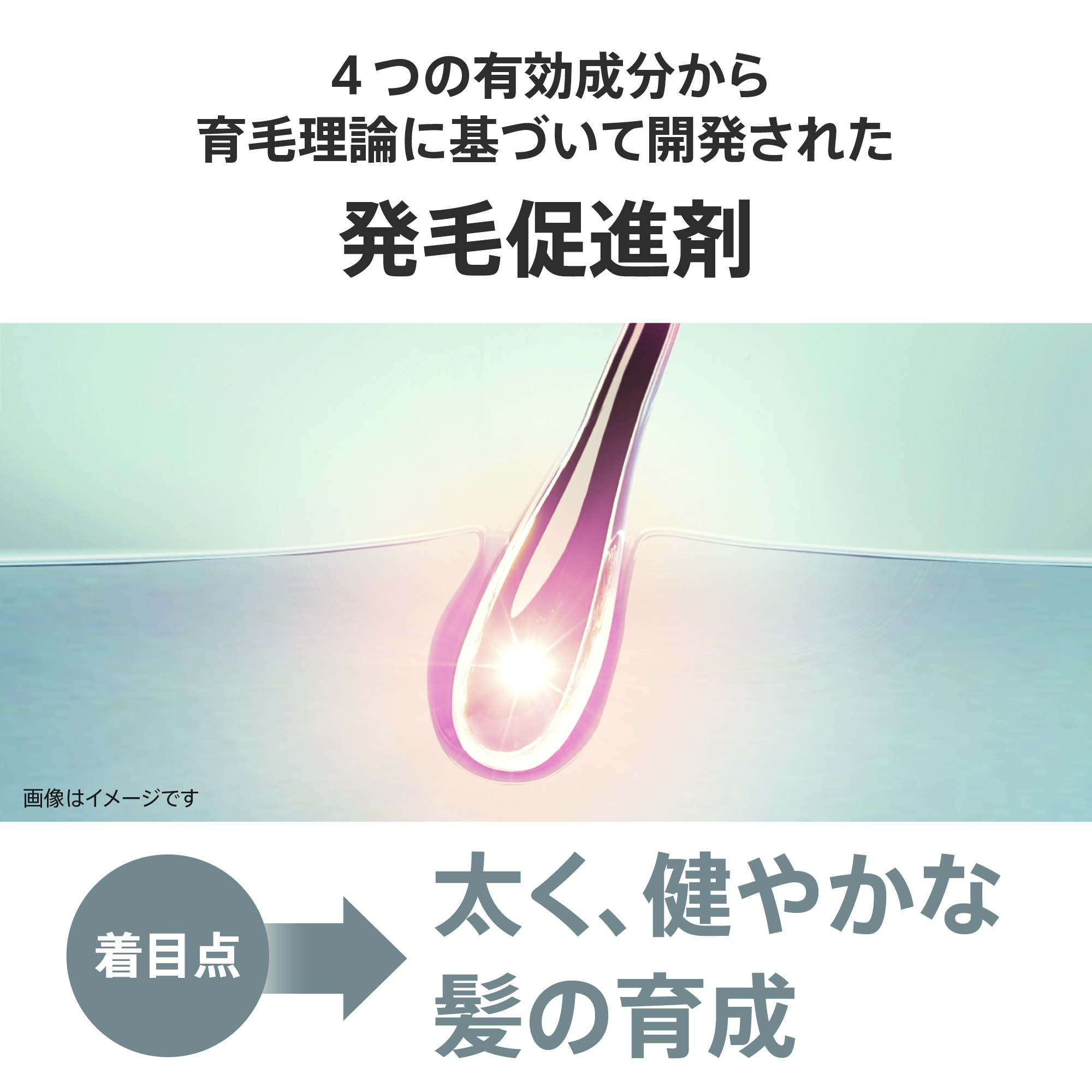 サイトマックス) ：Amway(日本アムウェイ) | amwaylive