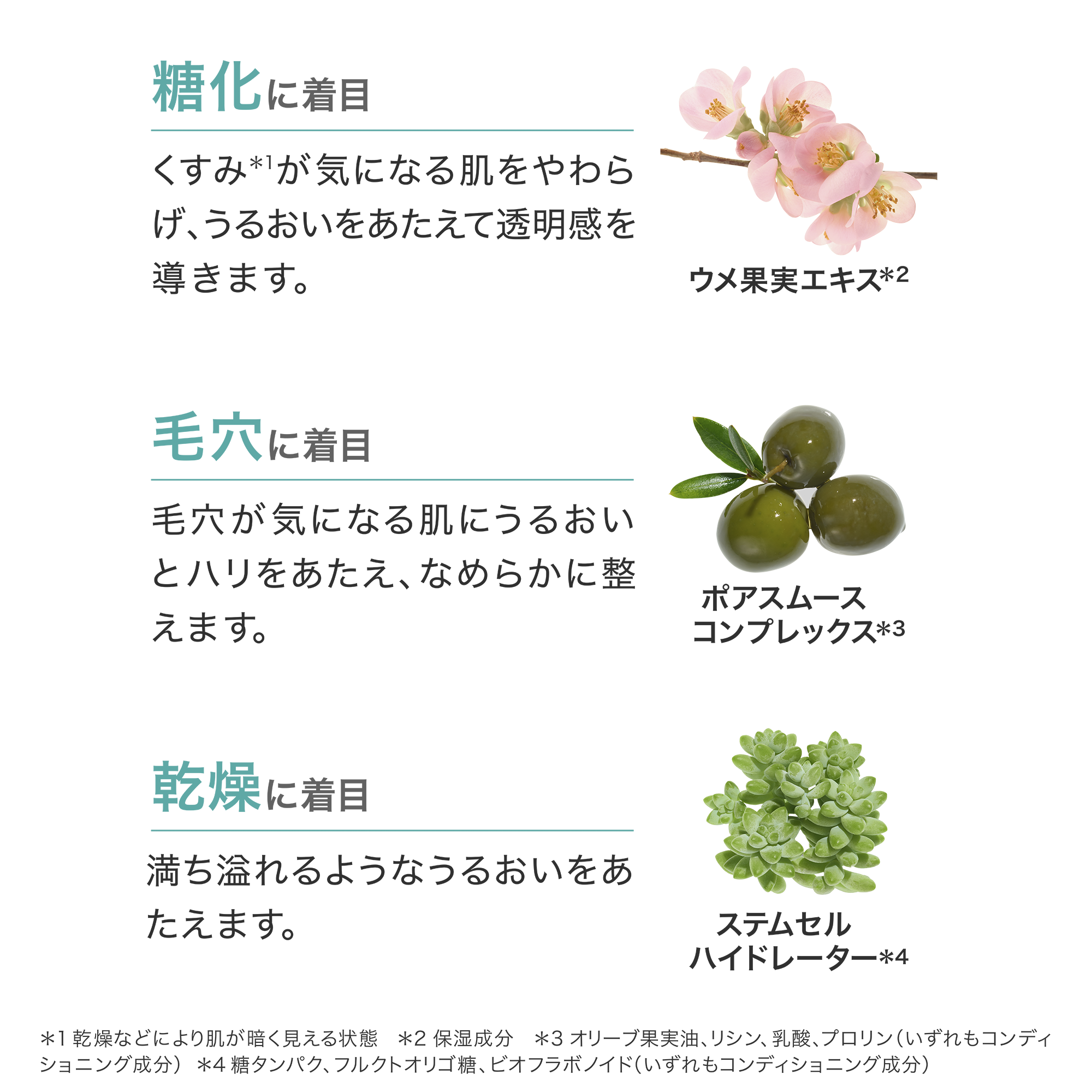 スキン NT ザ・セラム エッセンシャル) ：Amway(日本アムウェイ