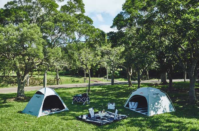 2025年】コールマンのスクリーンシェードおすすめモデル【定番＆最新