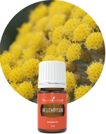ブレインパワー 5ml | ヤング・リヴィング精油 | Young Living