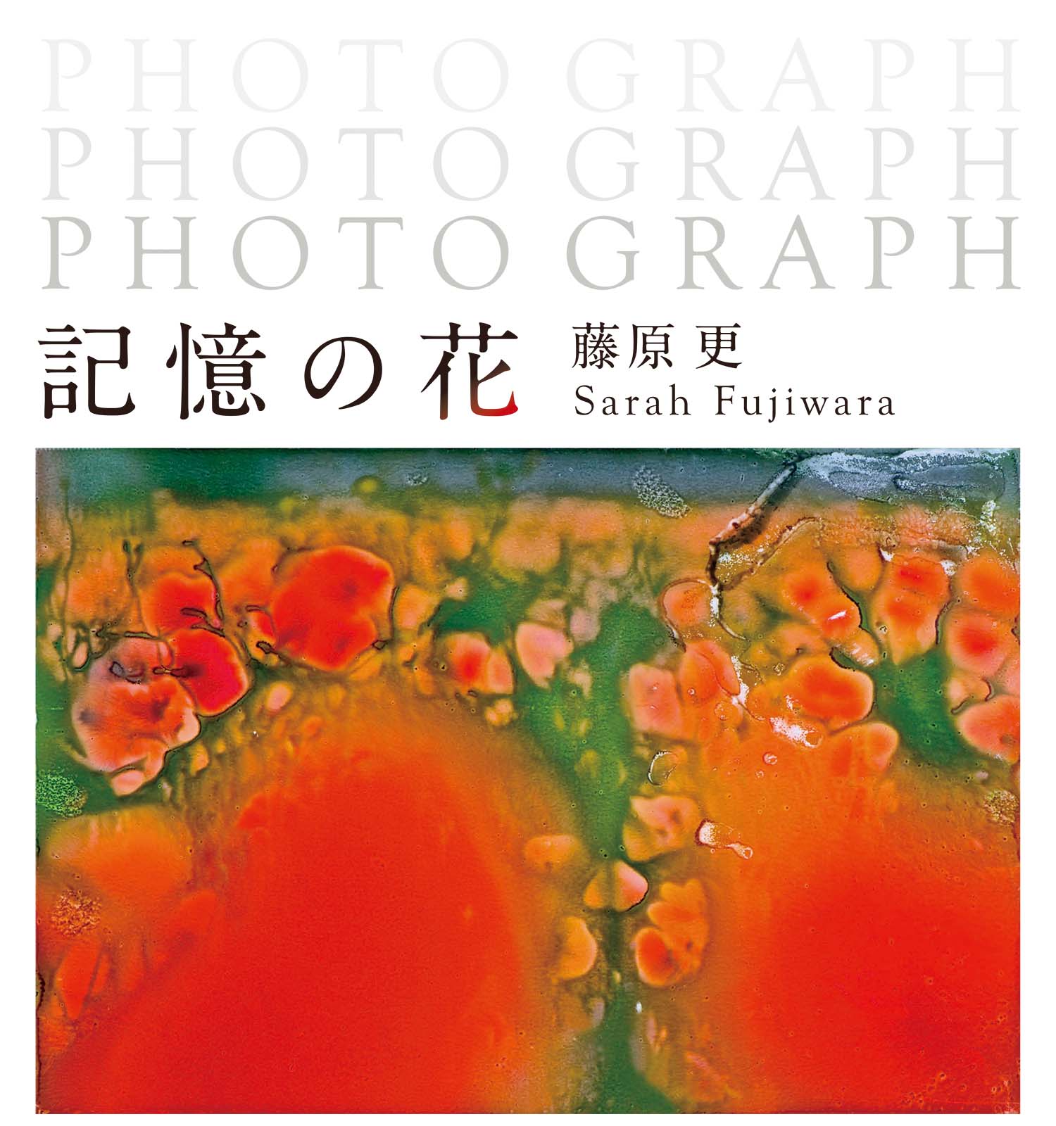 藤原更 「Photograph 記憶の花」 （ヤマザキマザック美術館） ｜Tokyo
