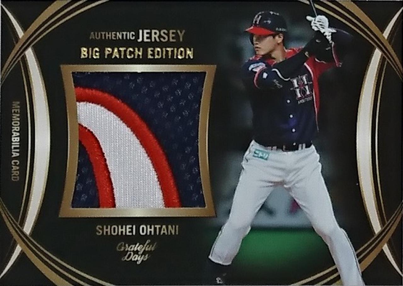 非売品】大谷翔平 2014セ・パ交流戦 入場特典配布カード 投打二刀流